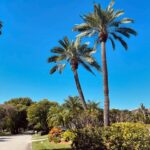 Daisy Fuentes Instagram – Walking meditation in Miami✌🏼