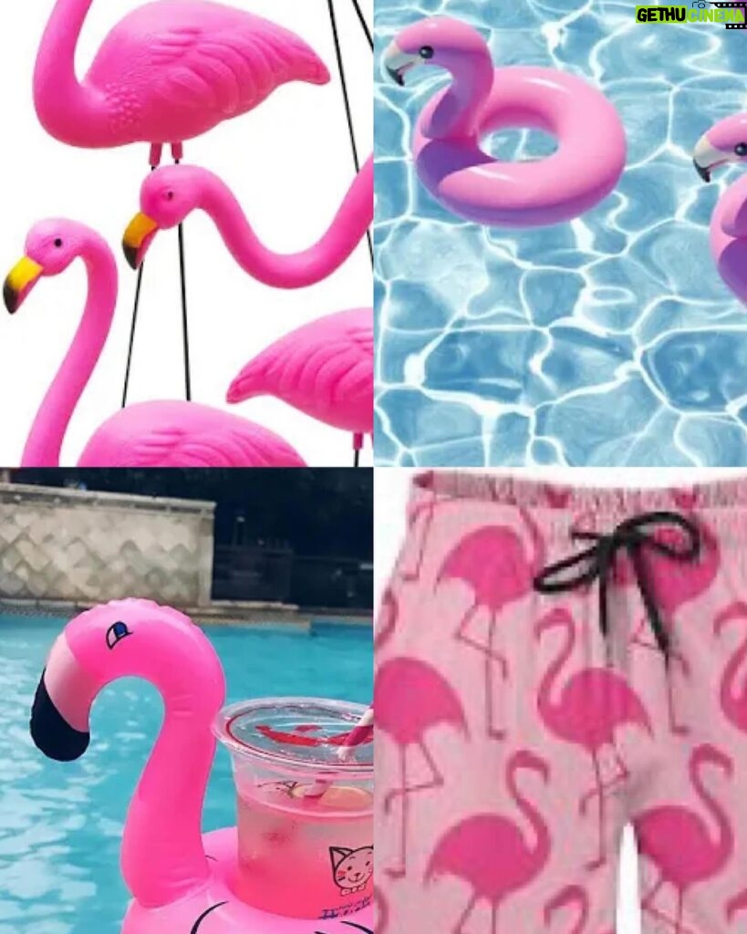 Damaris Phillips Instagram - @nikkidinki was talking about a different kind of pool party😂😂😂 Which is your favorite?