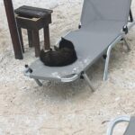 Damla Colbay Instagram - kedi miyim