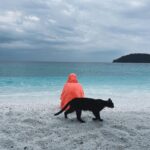 Damla Colbay Instagram - kedi miyim