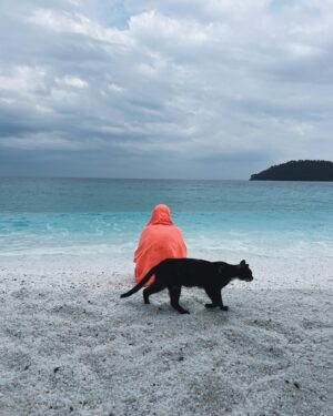 Damla Colbay Instagram - kedi miyim