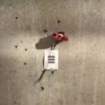 Dana Sokolova Instagram - Вот на ней то всё и держится