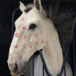 Dana Sokolova Instagram - Веди себя естественно, говорили они