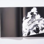 Dana Terrace Instagram - The @gorillaz artbook came out today and I’m so insanely honored to be a part of it and be surrounded by so many artists I admire. Definitely a highlight of my artistic career. BUY IT! ENJOY IT! Can’t wait to get my copy. http://gorill.az/artbook