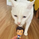 Dana Terrace Instagram - THANK YOU @dreamdoveshop!!! She’s perfect and READY TO BECOME THE GREATEST WITCH EVER! #theowlhouse
