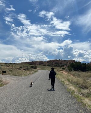Danay García Instagram - I ❤️ Santa Fe. 💕🪴🌱
With our divine connection we are always in touch with the solutions we are seeking. #travel #roadtrip #santafe #lawspañola #goodmorning #goodvibes #light #danaygarcia 
Never forget the magic. 🧡🪴#queen