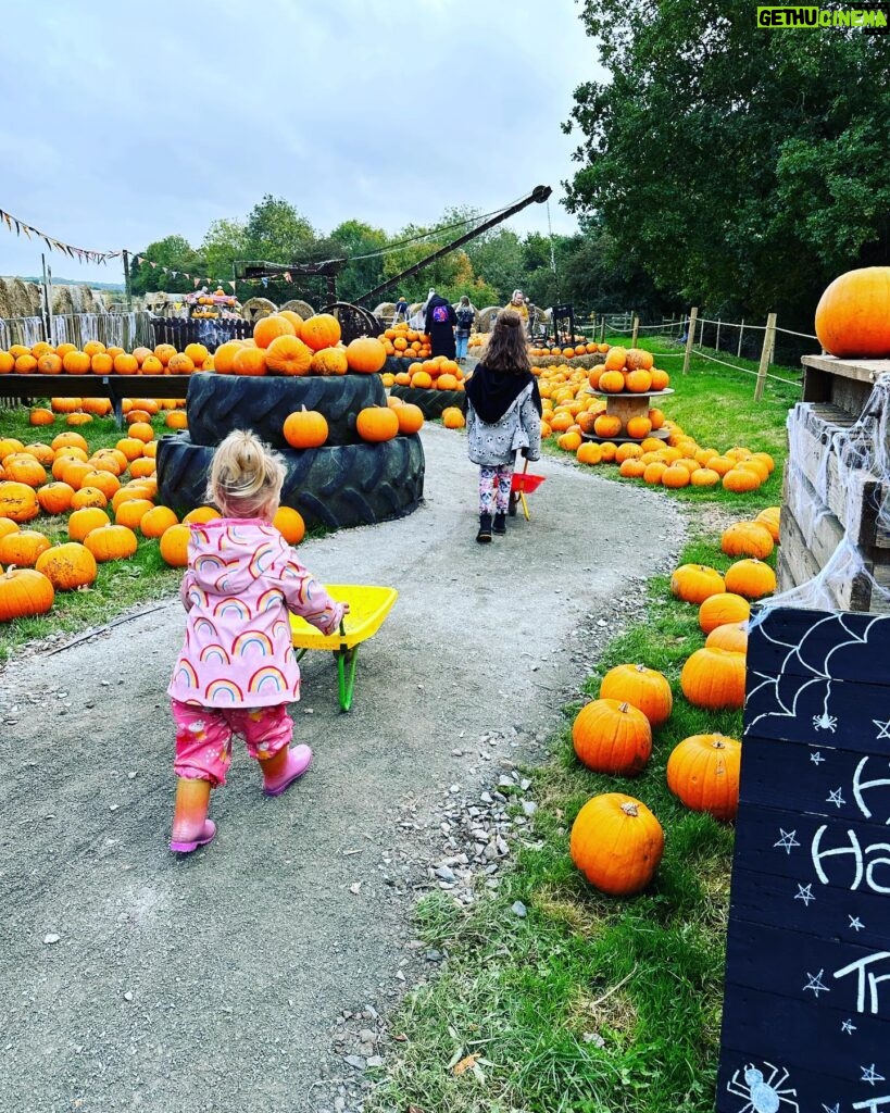 Dani Harmer Instagram - This is Halloween 🎃 👻!!!! What a fab day @westlodgefarmpark can’t recommend their pumpkin patch enough! So much to do! The kids loved it!! Not an ad or gifted! Just had an amazing time and wanted to share 😊