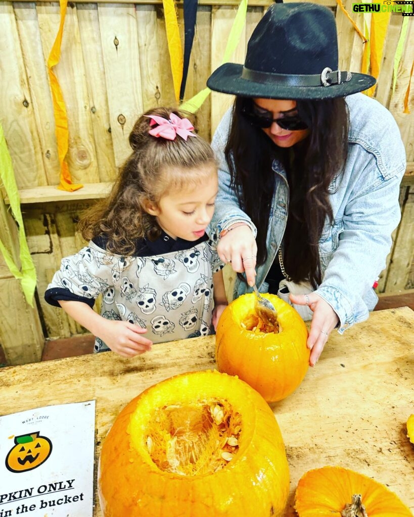 Dani Harmer Instagram - This is Halloween 🎃 👻!!!! What a fab day @westlodgefarmpark can’t recommend their pumpkin patch enough! So much to do! The kids loved it!! Not an ad or gifted! Just had an amazing time and wanted to share 😊