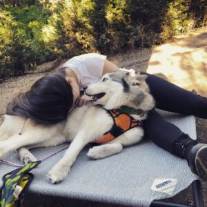 Daniela Bobadilla Instagram - Got to spend some quality time with this stunning floof this weekend 😭 10/10 would cuddle every weekend if allowed. 
Many thanks to Sandy’s hoomans for bringing her along ⛺️ I only got a couple of pix with the hoomans because doggs come first. I’ll post the hoomans later.