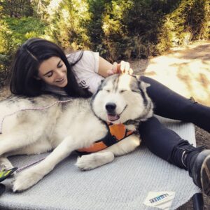 Daniela Bobadilla Instagram - Got to spend some quality time with this stunning floof this weekend 😭 10/10 would cuddle every weekend if allowed. 
Many thanks to Sandy’s hoomans for bringing her along ⛺️ I only got a couple of pix with the hoomans because doggs come first. I’ll post the hoomans later.
