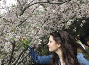 Daniela Bobadilla Instagram - Cherry Blossoms are just pure magic 🌸 what’s your favorite flower?