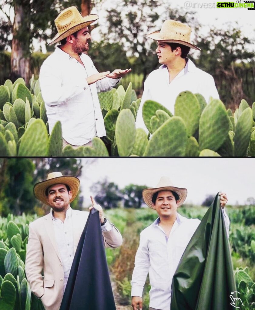 Daniela Escobar Instagram - Esses dois criaram um “couro” a partir do cactus, salvando a vida de 1 bilhão de animais que seriam mortos para a indústria da moda. Cactus não precisa de muita água, é uma planta bastante resistente e o material derivado de suas folhas mais maduras oferece espessuras e texturas diferentes, o que também permite uma variedade de cores para o produto final. Palmas para Adrian e Marte.👏🏻👏🏻👏🏻👏🏻👏🏻