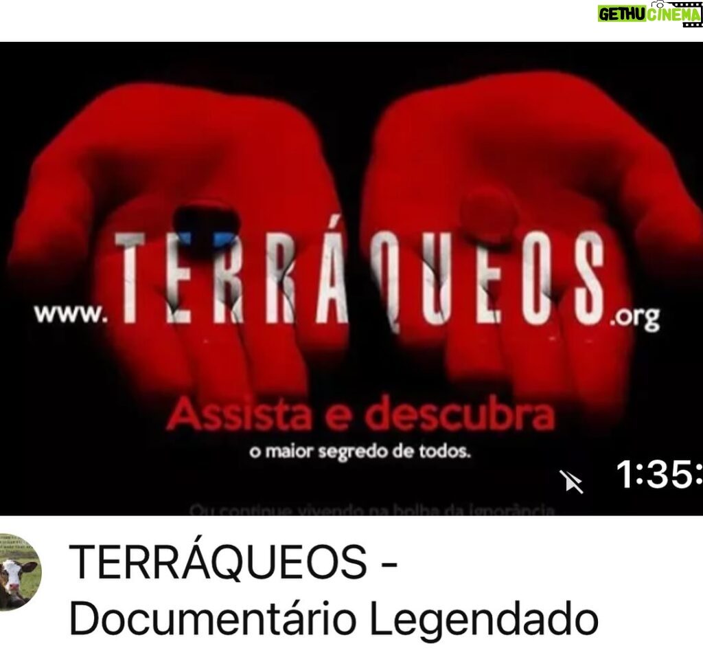 Daniela Escobar Instagram - Gosta de um filme de terror? Esse é um dos mais aterrorizantes que eu já vi…