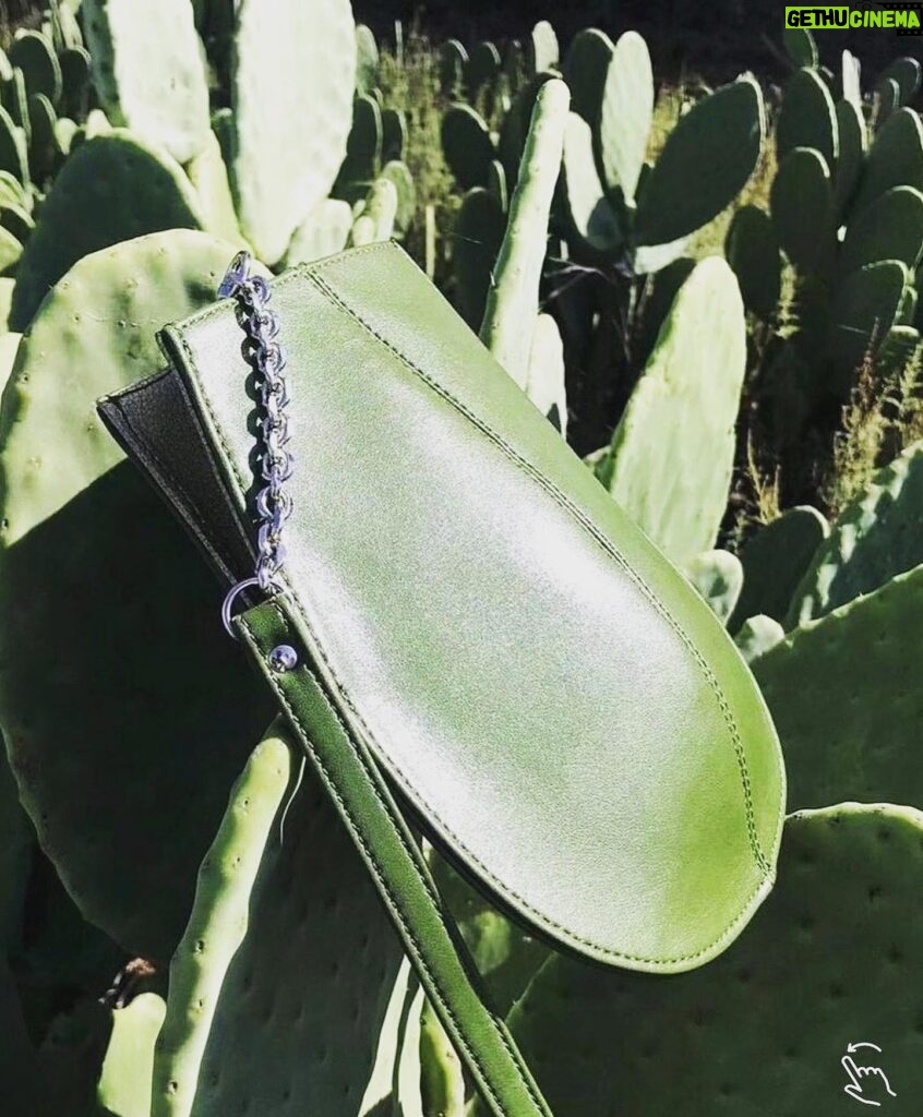 Daniela Escobar Instagram - Esses dois criaram um “couro” a partir do cactus, salvando a vida de 1 bilhão de animais que seriam mortos para a indústria da moda. Cactus não precisa de muita água, é uma planta bastante resistente e o material derivado de suas folhas mais maduras oferece espessuras e texturas diferentes, o que também permite uma variedade de cores para o produto final. Palmas para Adrian e Marte.👏🏻👏🏻👏🏻👏🏻👏🏻