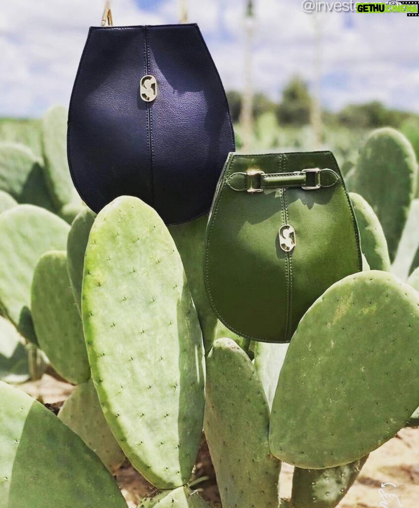 Daniela Escobar Instagram - Esses dois criaram um “couro” a partir do cactus, salvando a vida de 1 bilhão de animais que seriam mortos para a indústria da moda. Cactus não precisa de muita água, é uma planta bastante resistente e o material derivado de suas folhas mais maduras oferece espessuras e texturas diferentes, o que também permite uma variedade de cores para o produto final. Palmas para Adrian e Marte.👏🏻👏🏻👏🏻👏🏻👏🏻