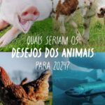 Daniela Escobar Instagram - Um feliz Ano Novo pra todos nós! Com mais compaixão, amor no coração, mais consciência nas escolhas, menos arrogância, mais despertares… Enquanto continuarem comendo uns aos outros, as guerras nunca vão terminar…. 🎊🎉💪🏻🌻🙏🏻❤️