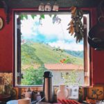 Daniela Paschoal Instagram - um pouquinho de Carlos Drummond de Andrade, e um fim de semana lá pros lados da terra dele. “Casas entre bananeiras mulheres entre laranjeiras pomar amor cantar. Um homem vai devagar. Um cachorro vai devagar. Um burro vai devagar. Devagar... as janelas olham. Eta vida besta, meu Deus.”