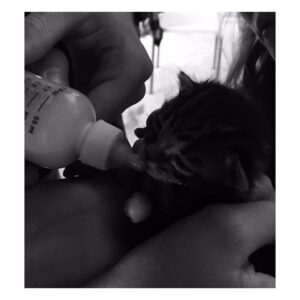 Danielle Macdonald Instagram - Back when my baby was still a baby 🐈‍⬛
@nicolezyana #rescuekitty