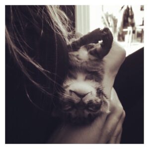 Danielle Macdonald Instagram - Back when my baby was still a baby 🐈‍⬛
@nicolezyana #rescuekitty