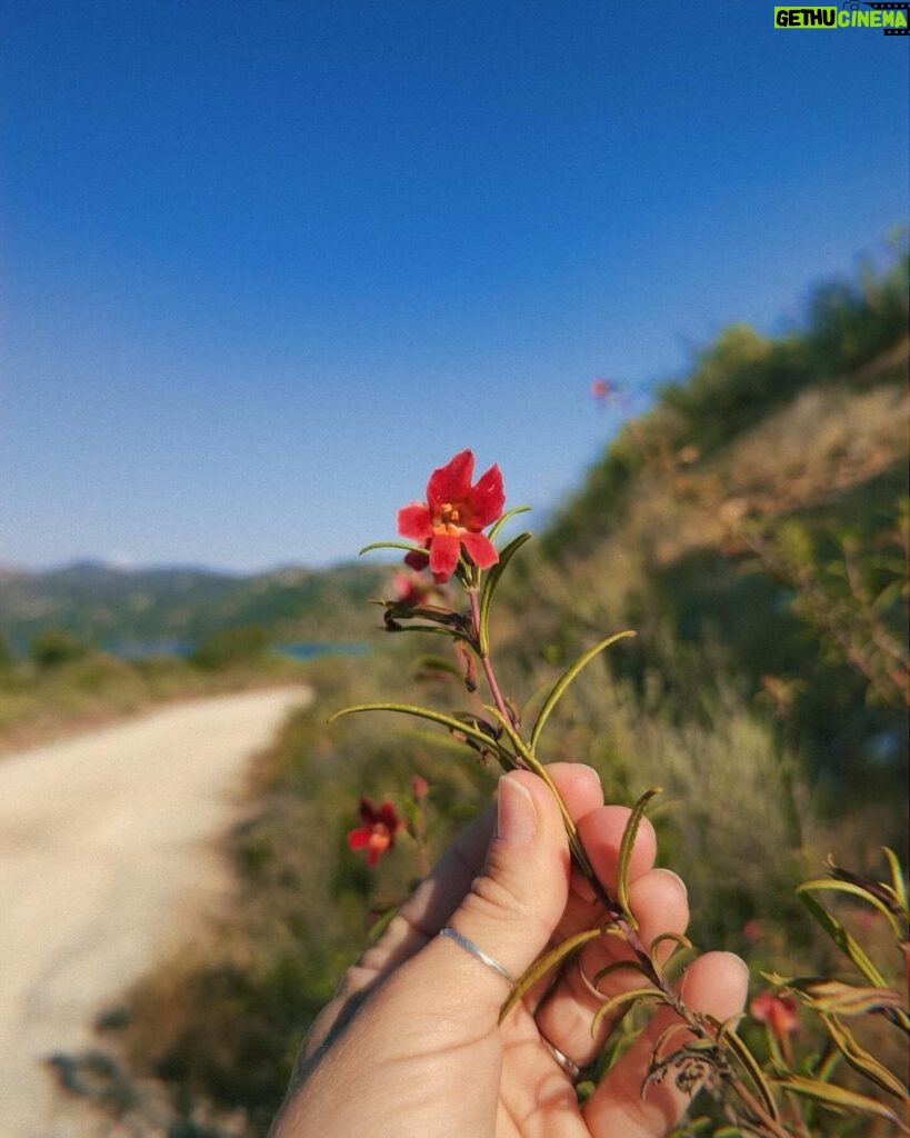 Danielle Mathers Instagram - There’s no place like home 📍 •Cali appreciation post• ⛰️ #happyearthday 🌎