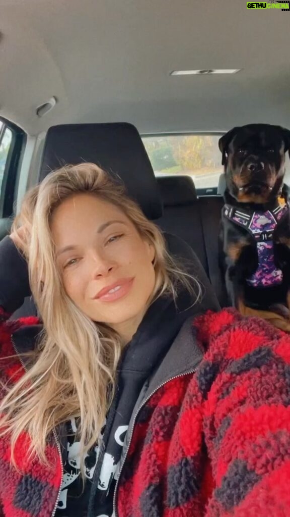 Danielle Mathers Instagram - Rottweiler mode activated 🐕‍🦺🦴🐾💕 🔊🆙