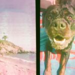 Danielle Mathers Instagram – Sol
Playa
Y en la arena 
Vamo allá
📸 
•
•
•
•
#sol #playa #vamoalla #onfilm #35mm #lagunabeach #california #livin #summertime #comeback #porfavor #ahora #murphymathers #baby #beachbums