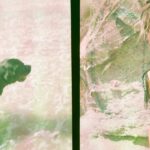 Danielle Mathers Instagram – Sol
Playa
Y en la arena 
Vamo allá
📸 
•
•
•
•
#sol #playa #vamoalla #onfilm #35mm #lagunabeach #california #livin #summertime #comeback #porfavor #ahora #murphymathers #baby #beachbums