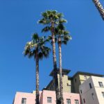 Darby Stanchfield Instagram - 🌴looking 🌴forward 🌴