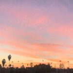 Darby Stanchfield Instagram - LA winter days & nights: residing high above the drama. ☀️🌴✨😎