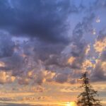 Darby Stanchfield Instagram - Summer ☀️ wildflowers 💐gardening 🥦berry picking 🍓baby goats ☺️ sunsets ✨✨✨