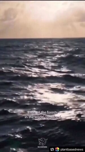 Daryl Hannah Instagram - A new IPCC report was just issued 
It is dire 
Crickets….
only action matters 
love earth
love life
protect what you love
