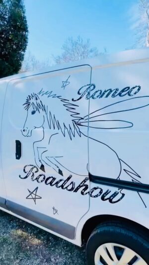 Daryl Hannah Instagram - Sooo..
When my Tesla got smushed by a huge oak tree- 
(mama nature speaks)
I got a small van & had a stall built for the inside.
Now Romeo can go everywhere! 
The stall can be removed 
& put into an electric van ( once they hopefully start selling them in the us) 
His shavings are hemp so there’s no dust and it’s super easy to keep clean. 
He loves looking out the window.
Romeo had his 1st Roadshow at @thepaintedturtlecamp with hundreds of campers & their families coming over to pet, hug & meet him - he was incredible around the kids & with wheelchairs, walkers etc!
& he’s been to the beach a few times 
& now he’s going on some 
play dates💞
#RomeoRoadshow 💕🦄