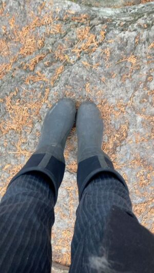 Daryl Hannah Instagram - LOVE EARTH
step into nature 
Wilderness is Wild 
💙 🌎 💚