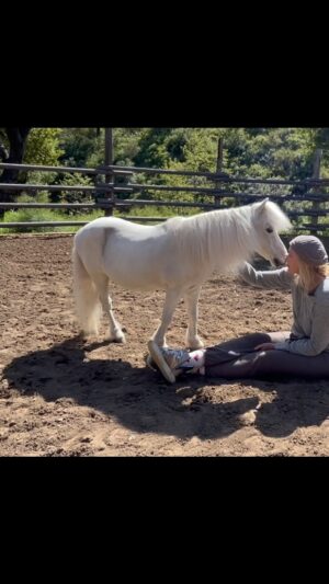 Daryl Hannah Instagram - The sweetness of Romeo - 
so good to just be with your critters - I read that the average time that a person can focus on one thing has dropped in the last 20 years from around 2½ minutes to around 45 seconds…. 
nature & animals help with that 
💕🐾 ☮️