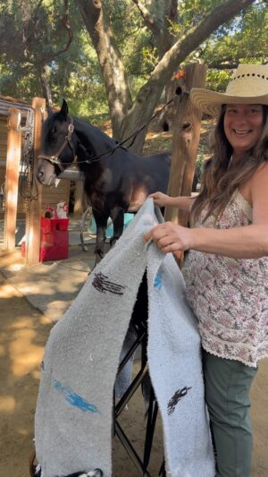 Daryl Hannah Instagram - Welcome “BEAUTY”
Truly beautiful handmade 
treeless saddle 
by @samanthahustonsaddles 
We L🖤VE!!!