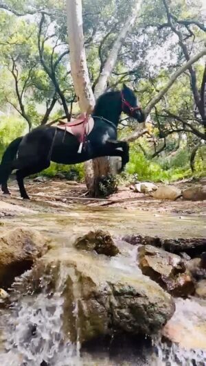 Daryl Hannah Instagram - bunny hop