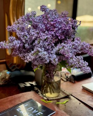 Daryl Hannah Instagram - Lilacs!!!!!
thank you Melanie 💜