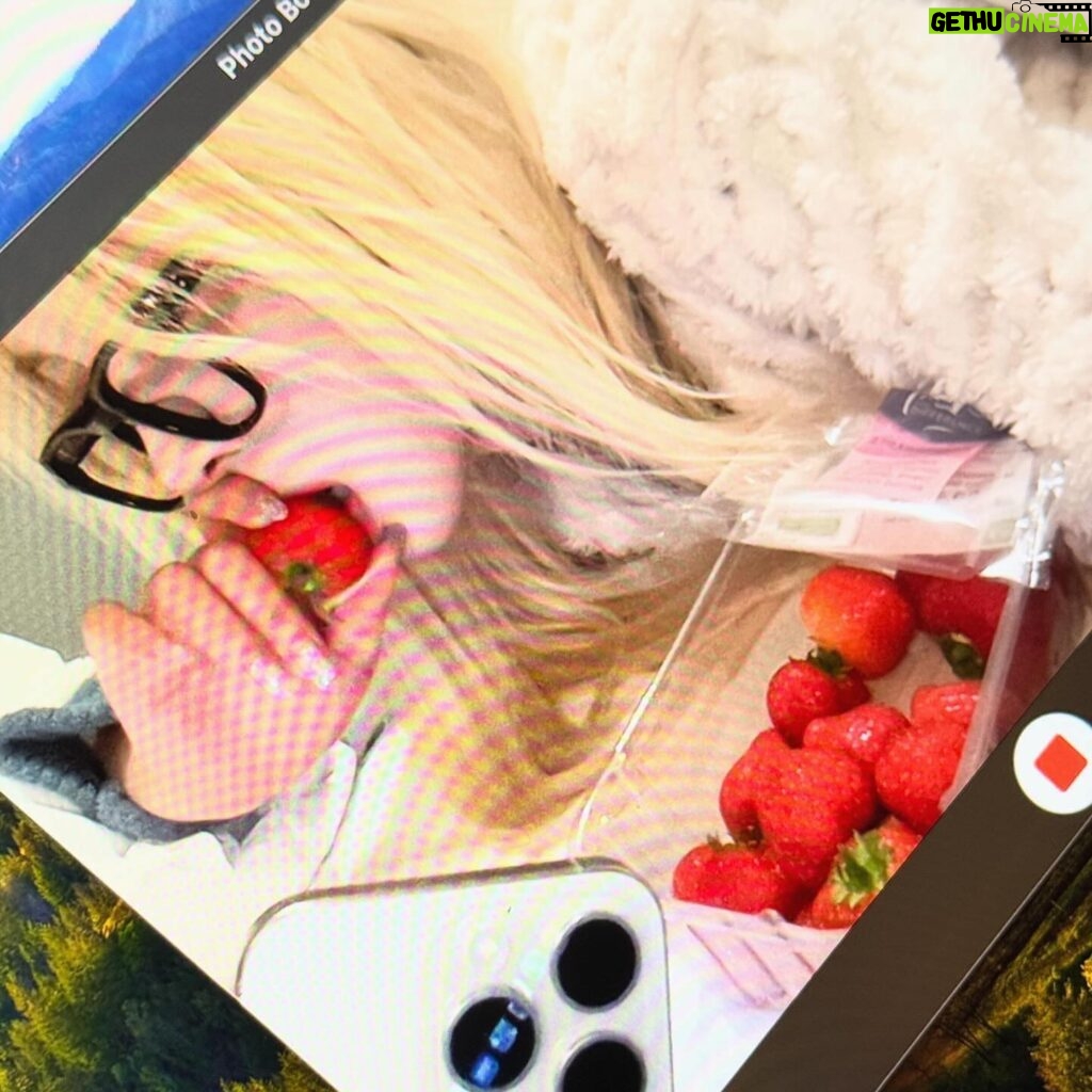 Dayoung Instagram - 딸기랑 초콜렛은 최고의 휴일이지!🍓🍫