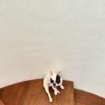 Debbie Garcia Instagram – POV : My camera roll