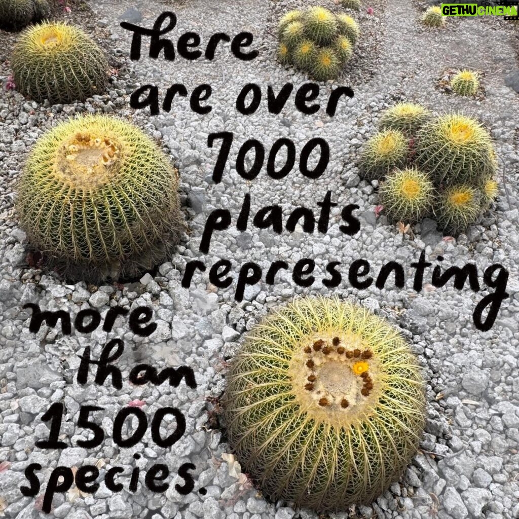 Debbie Millman Instagram - On visiting the Botanical Garden Biology Institute, Univeridad Nacional Autónoma de México, UNAM.