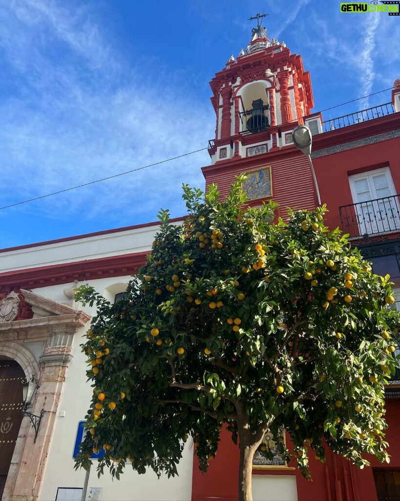 Debi Mazar Instagram - Feliz Día de Andalucia!! One of my favorite places ❤️ 1st & Last 📸 @ruvenafanador 🍋 🍊 🍷 🐂💃🏻🕺🏻 🇪🇸