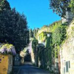 Debi Mazar Instagram – WISTERIA 💜
Italy is exploding with spring and the Wisteria is EVERYWHERE ❣️
I pinch myself with taking in all this beauty! I pull my car over and gaze ,smell ..jump back in and say “ahhhhhh” 💜