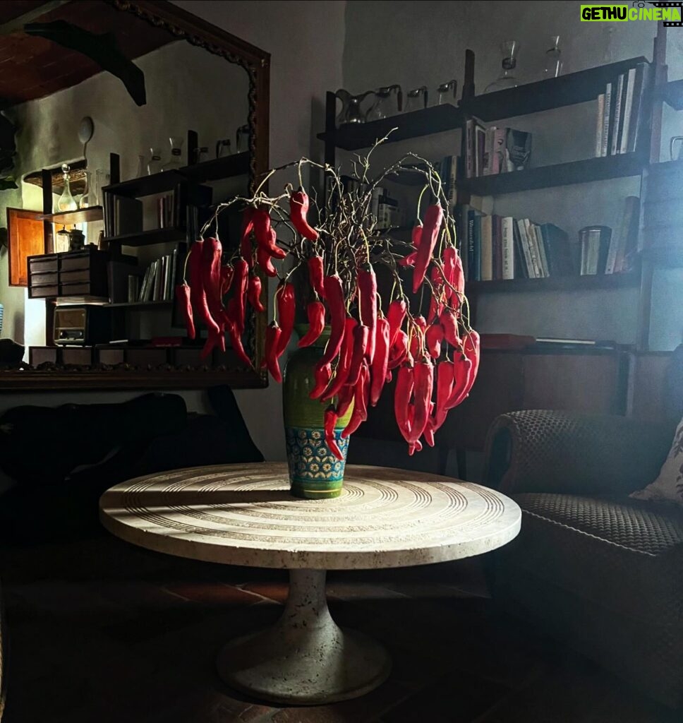Debi Mazar Instagram - Red Pepper Bouquet ! Why not ❣️🌶️ 🇮🇹 #travertinomarmo