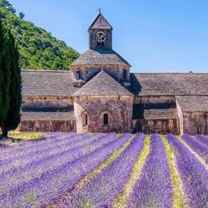 Deborah Mace Instagram - Join @natgeo and I sharing a place that means something special to you #shareyourspot 🌍❤️
Of course I picked the place I miss the most, my hometown, Lançon de Provence. 
To my eyes, the region of Provence is the most beautiful place of earth ( not just because I grew up there 😜)The lavender fields, vineyards, cute villages, the food, the markets, the people.. I can’t say enough. 
No matter where life takes me, I will always be a Provençal heart ✨ #provence #happyearthday
