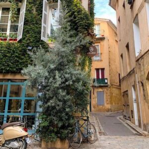 Deborah Mace Instagram - Join @natgeo and I sharing a place that means something special to you #shareyourspot 🌍❤️
Of course I picked the place I miss the most, my hometown, Lançon de Provence. 
To my eyes, the region of Provence is the most beautiful place of earth ( not just because I grew up there 😜)The lavender fields, vineyards, cute villages, the food, the markets, the people.. I can’t say enough. 
No matter where life takes me, I will always be a Provençal heart ✨ #provence #happyearthday