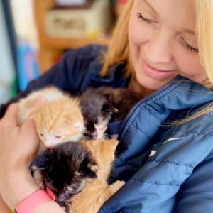 Deborah Twiss Instagram - Bottle baby fosters!! 3 week old kittens! @anjelliclecats