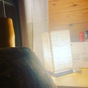Deborah Twiss Instagram - Cozy cabin of Trail Blazers with my fur babies