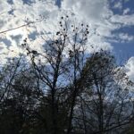 Deepti Naval Instagram - I just stood looking at the sky . . . How it changes . . . Humbles me!