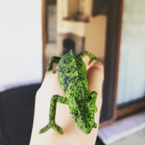 Defne Erşen Instagram - Allahım aşırı tatlı değil mi 🥺 merak etmeyin doğasına saldık yine 💖