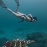 Della Dartyan Instagram - Hello little friend 🐢 📸 @ang_david